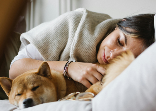 Les Bienfaits des Animaux de Compagnie sur la Santé Mentale : Les Dernières Découvertes
