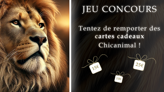 Participez à notre jeux concours Chicanimal des fêtes de fin d'année !