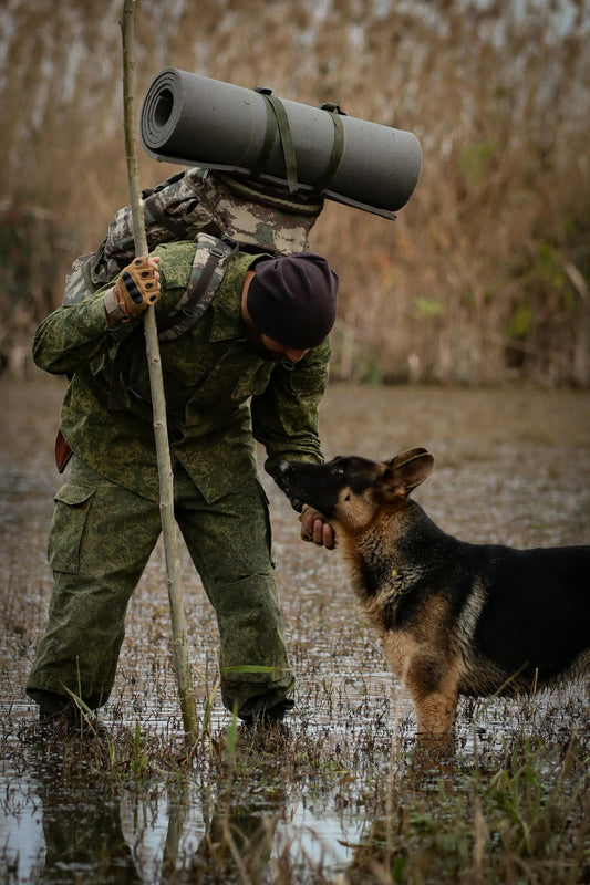 Les Animaux de Compagnie : Nouveaux Compagnons des Soldats en Ukraine