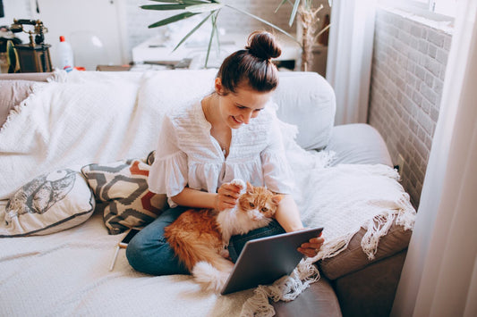 Comment Réussir l'Intégration d'un Nouveau Chat à la Maison : Conseils de Vétérinaire
