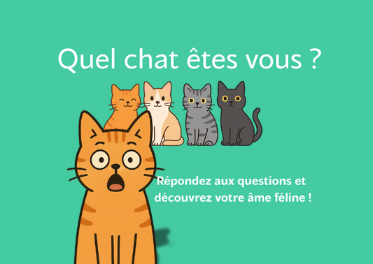 Quel chat êtes-vous ? Découvrez votre profil félin avec le quiz de Medianimal.info